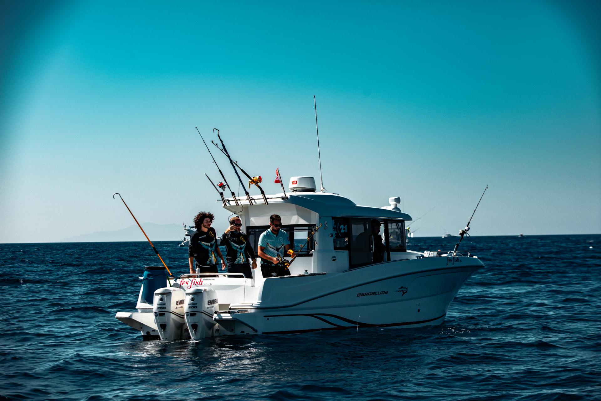 Fesfish 2 (2).jpg