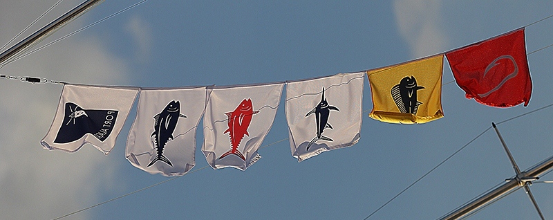 Alacati pics 39.jpg