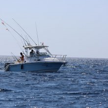 Tuna Vortex (6).JPG