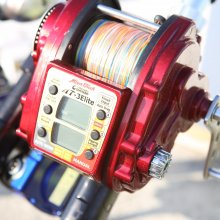 Olta (9).JPG