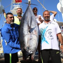 Baracuda - Balık Karşılama (2).JPG