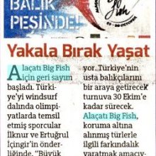 Hürriyet Kelebek.JPG