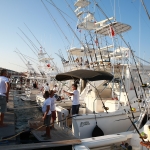 SEK_8114.JPG