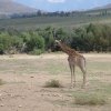 DSC00126.jpg