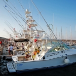 SEK_8120.JPG