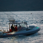 SEK_8365.JPG