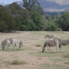 DSC00119.jpg