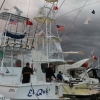 Alaçatı Fishing 2010 Kayıtlar