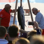 OZG_4433-okk.jpg