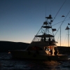 Alaçatı Fishing 2010 1. Gün