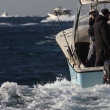 OZG_5317-oküçük.jpg